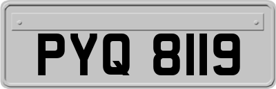 PYQ8119