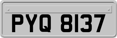 PYQ8137