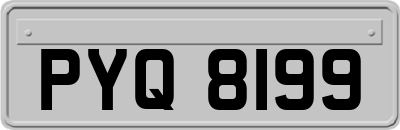 PYQ8199