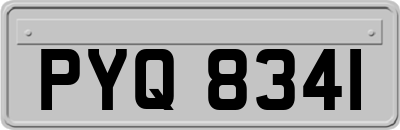 PYQ8341