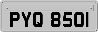 PYQ8501