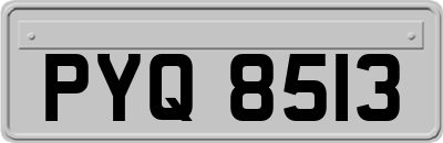 PYQ8513