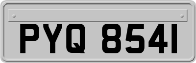 PYQ8541