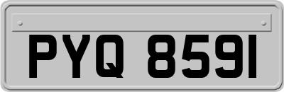 PYQ8591