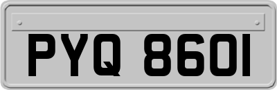 PYQ8601