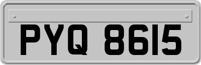 PYQ8615