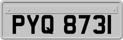 PYQ8731