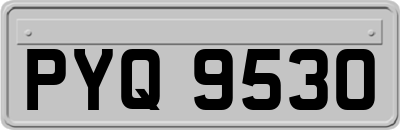 PYQ9530