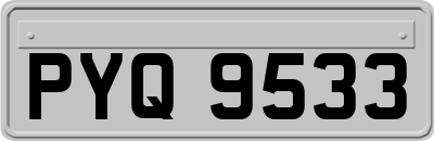 PYQ9533