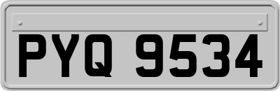 PYQ9534