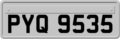 PYQ9535