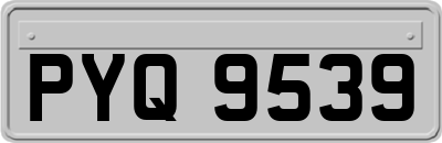 PYQ9539