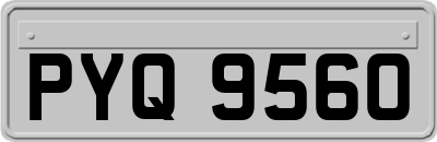 PYQ9560