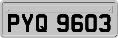 PYQ9603