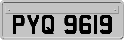 PYQ9619