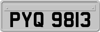 PYQ9813