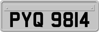 PYQ9814