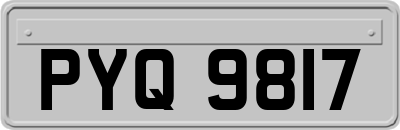 PYQ9817