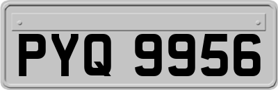 PYQ9956