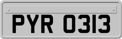 PYR0313