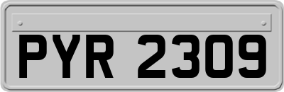 PYR2309