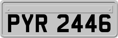 PYR2446