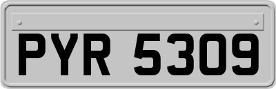 PYR5309