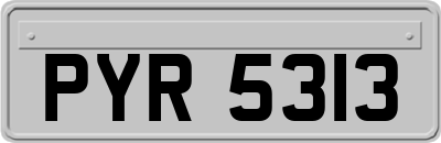 PYR5313