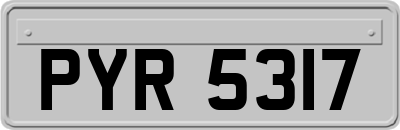 PYR5317