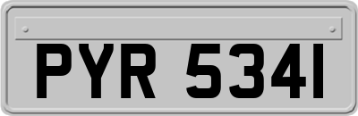 PYR5341