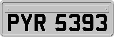 PYR5393