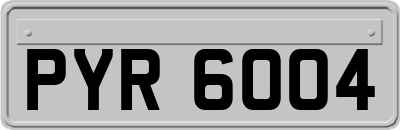 PYR6004