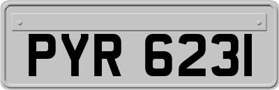 PYR6231