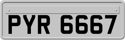 PYR6667