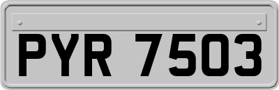 PYR7503