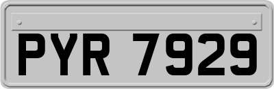 PYR7929