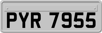 PYR7955