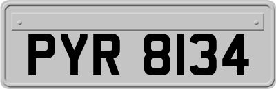 PYR8134