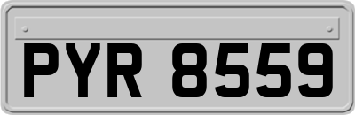 PYR8559