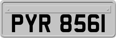 PYR8561