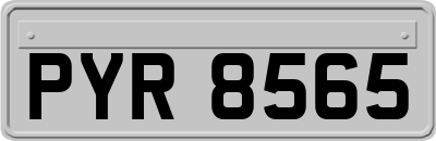 PYR8565