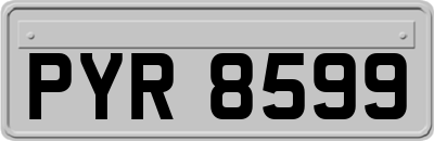 PYR8599