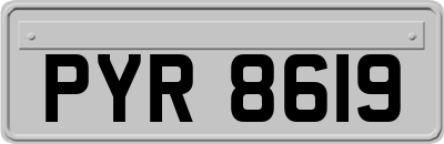 PYR8619