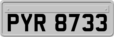 PYR8733