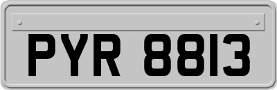 PYR8813