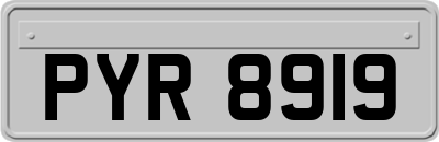 PYR8919