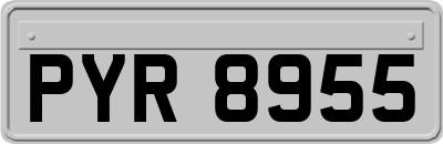 PYR8955