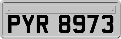 PYR8973