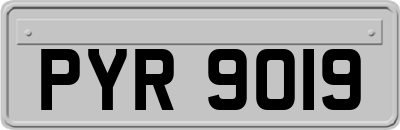 PYR9019