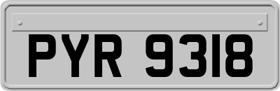 PYR9318